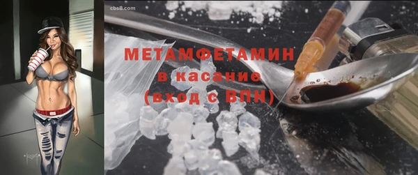 шишки Богородицк