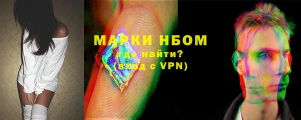 шишки Богородицк