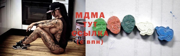 индика Беломорск