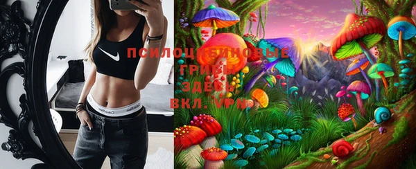 ECSTASY Белокуриха