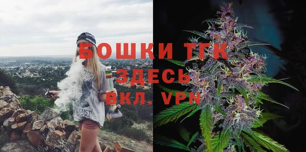 индика Беломорск