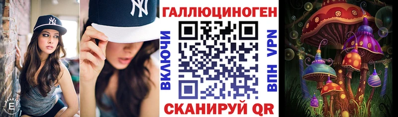где купить наркотик Приволжский Псилоцибиновые грибы Psilocybe